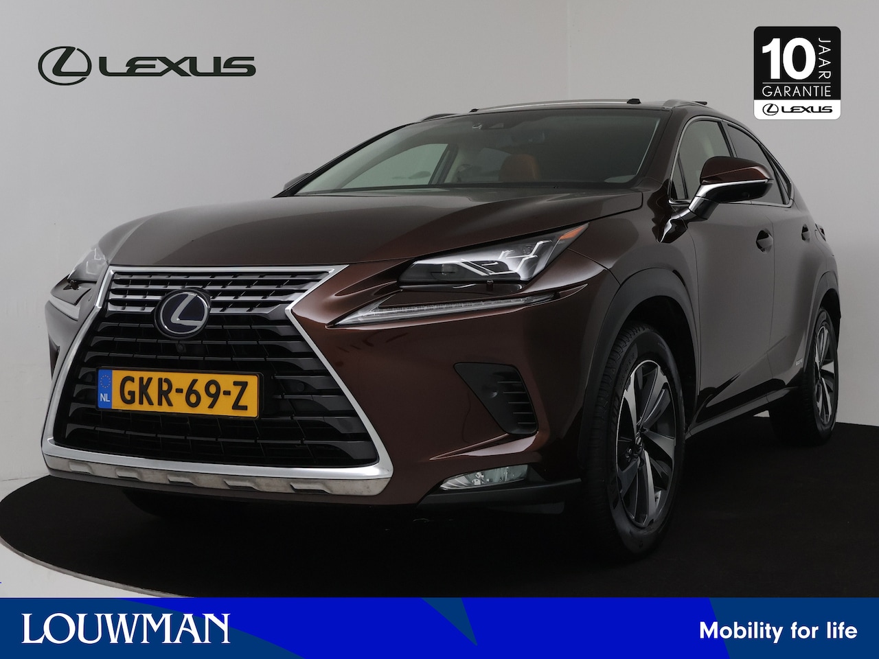 Lexus NX - 300h AWD President Line Limited | Mark Levinson | Schuif-/kanteldak | Premium Navigatie | - AutoWereld.nl