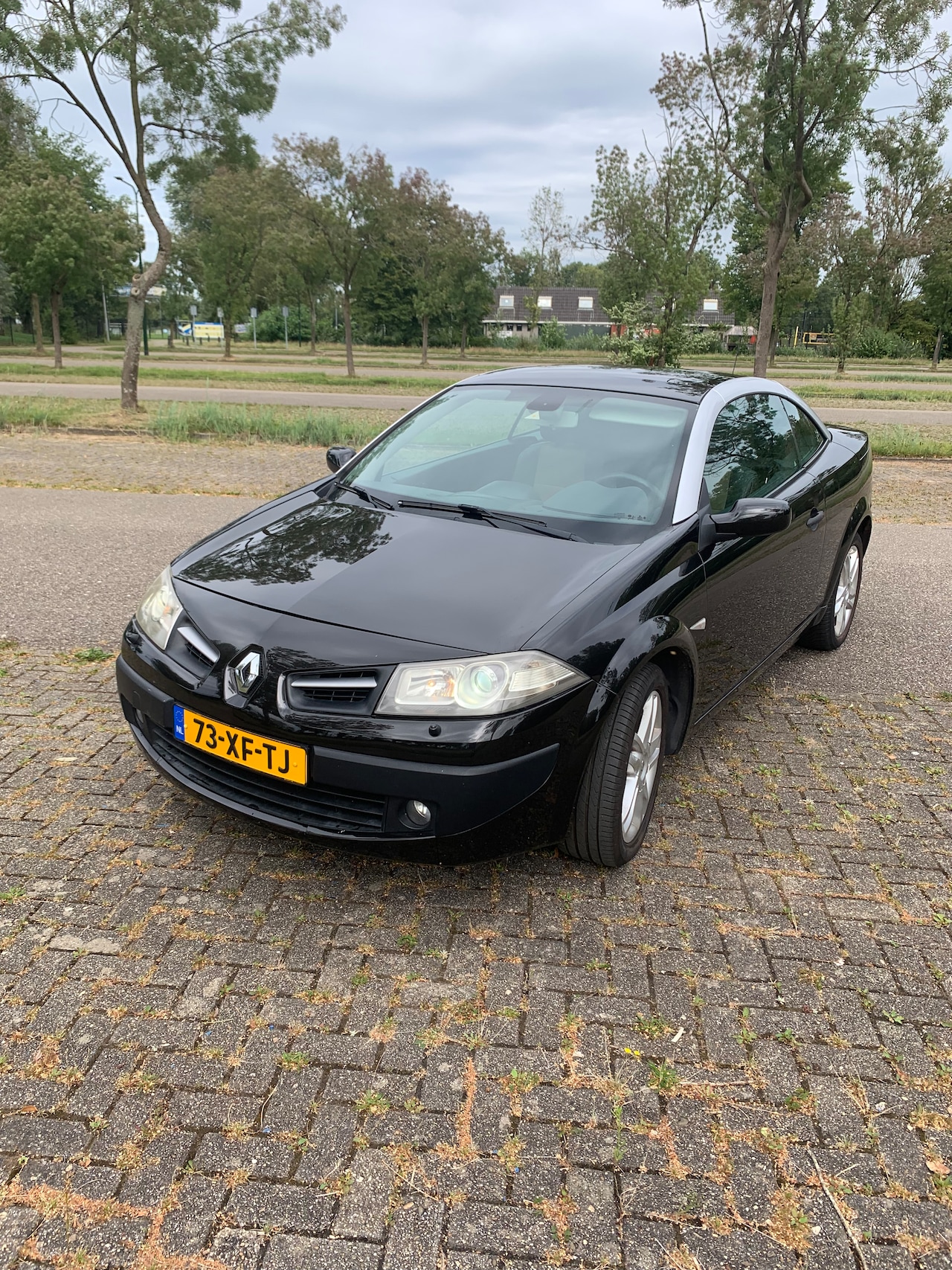 Renault Mégane coupé cabriolet - 2.0-16V Exception - AutoWereld.nl