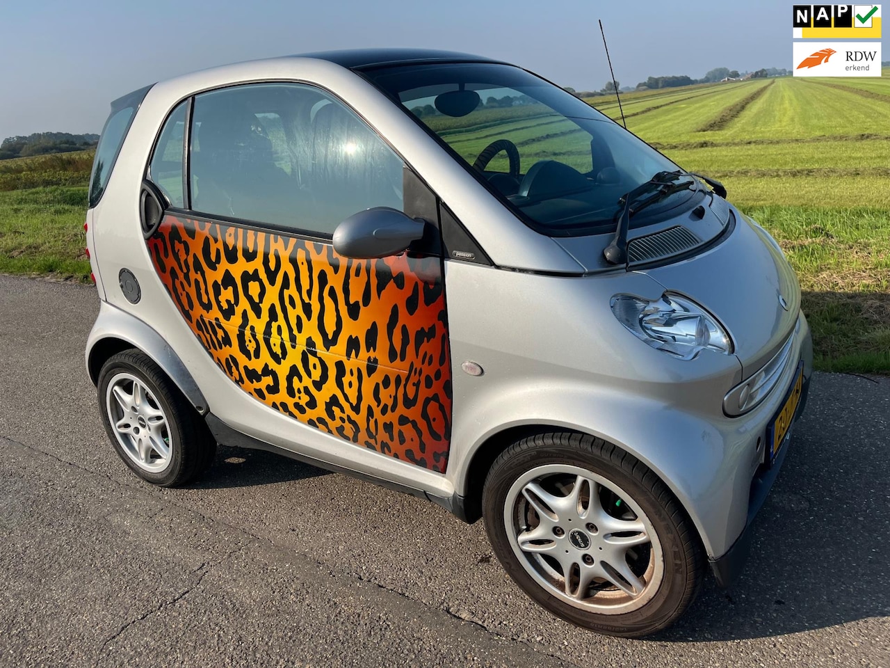 Smart Fortwo - Zebra / airco - pano - automaat nwe apk!! - AutoWereld.nl