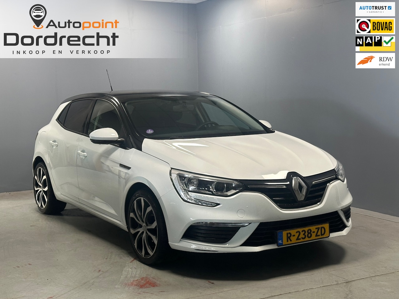 Renault Mégane - 1.2 TCe Zen ZEER NETTE AUTO - AutoWereld.nl