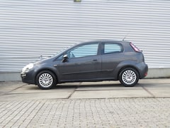 Fiat Punto Evo - 1.4 Business