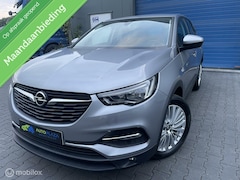 Opel Grandland X - 1.2 / Turbo / Dealer onderhouden / Zuinig /