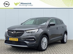 Opel Grandland X - 1.2 Turbo 130pk Automaat Business Executive | Navigatie | Parkeersensoren | Glazen dak | E