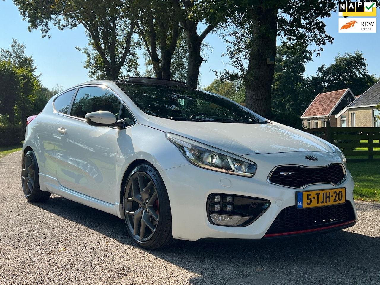 Kia Pro cee'd - 1.6 GT | Pano + Cruise + Clima - AutoWereld.nl