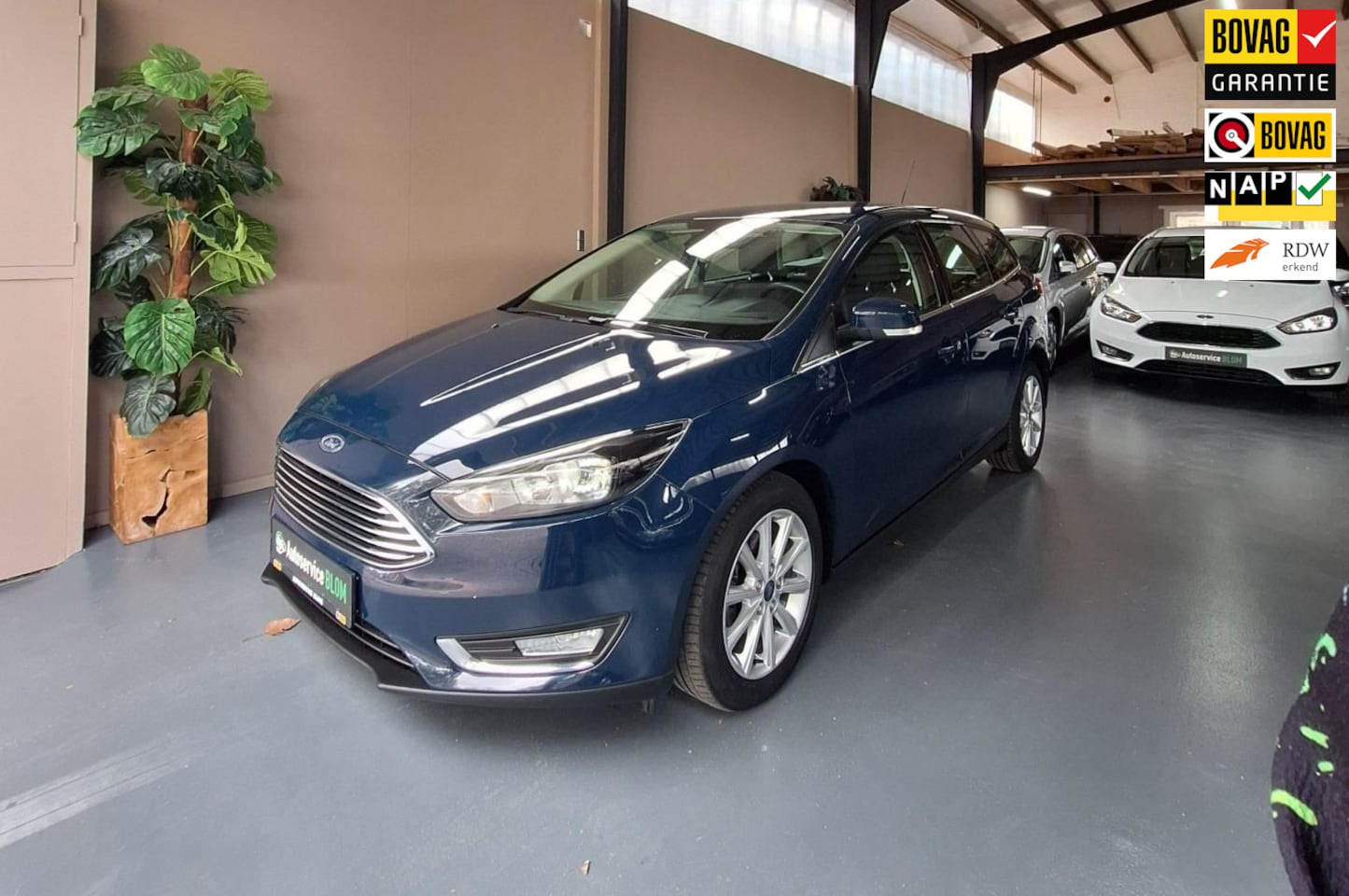 Ford Focus Wagon - 1.0 125 PK AUTOMAAT met nieuwe distributie en 6 tot 12 maanden garantie - AutoWereld.nl