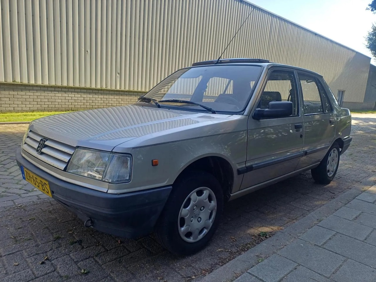 Peugeot 309 - 1.6 GL 1.6 GL - AutoWereld.nl