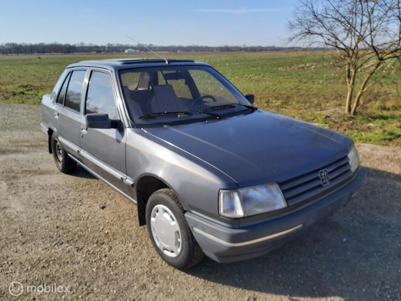 Peugeot 309 - 1.6 SR AUTOMAAT - AutoWereld.nl