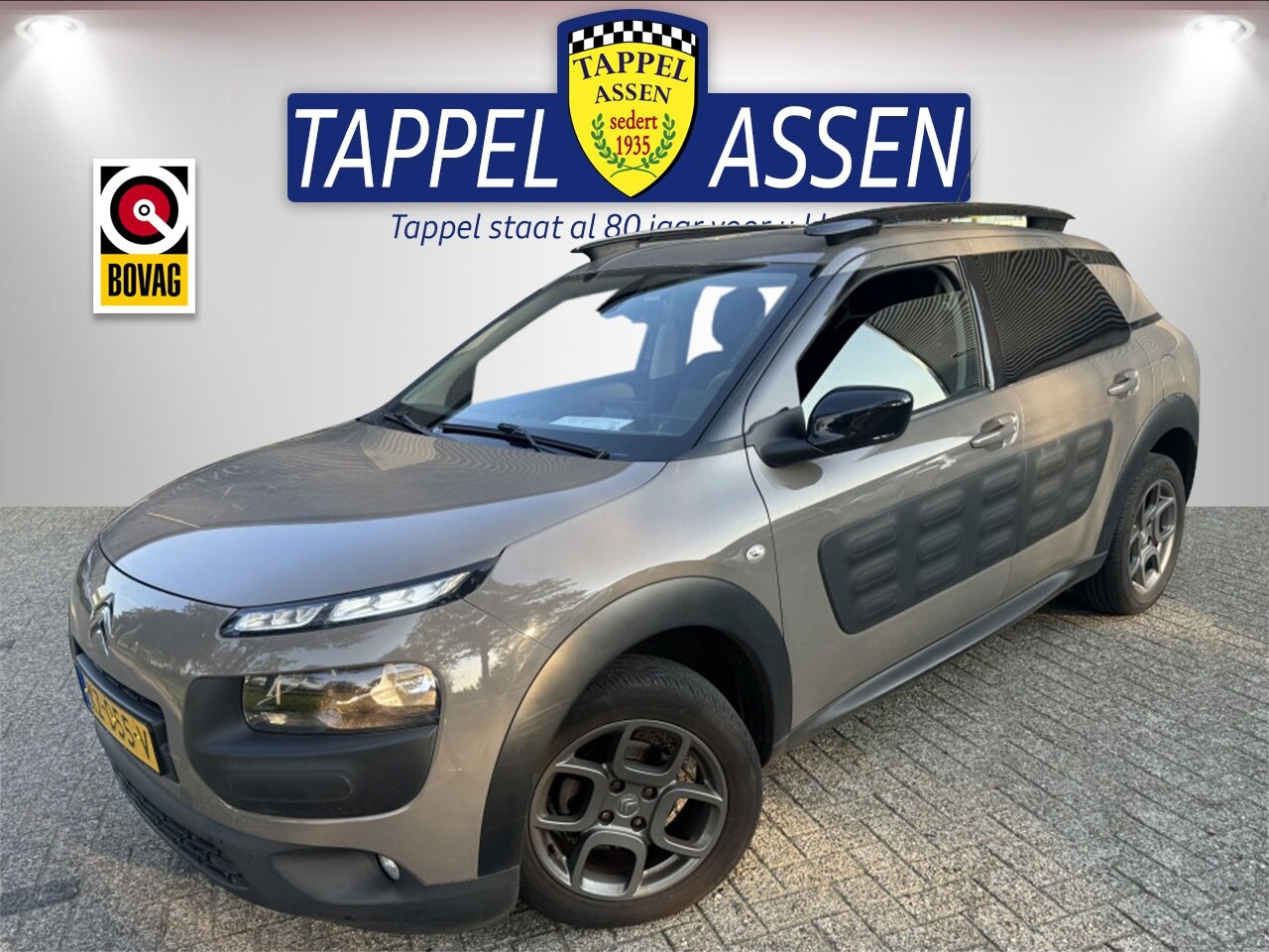 Citroën C4 Cactus - 1.2 PureTech Shine 1.2 PureTech Shine - AutoWereld.nl