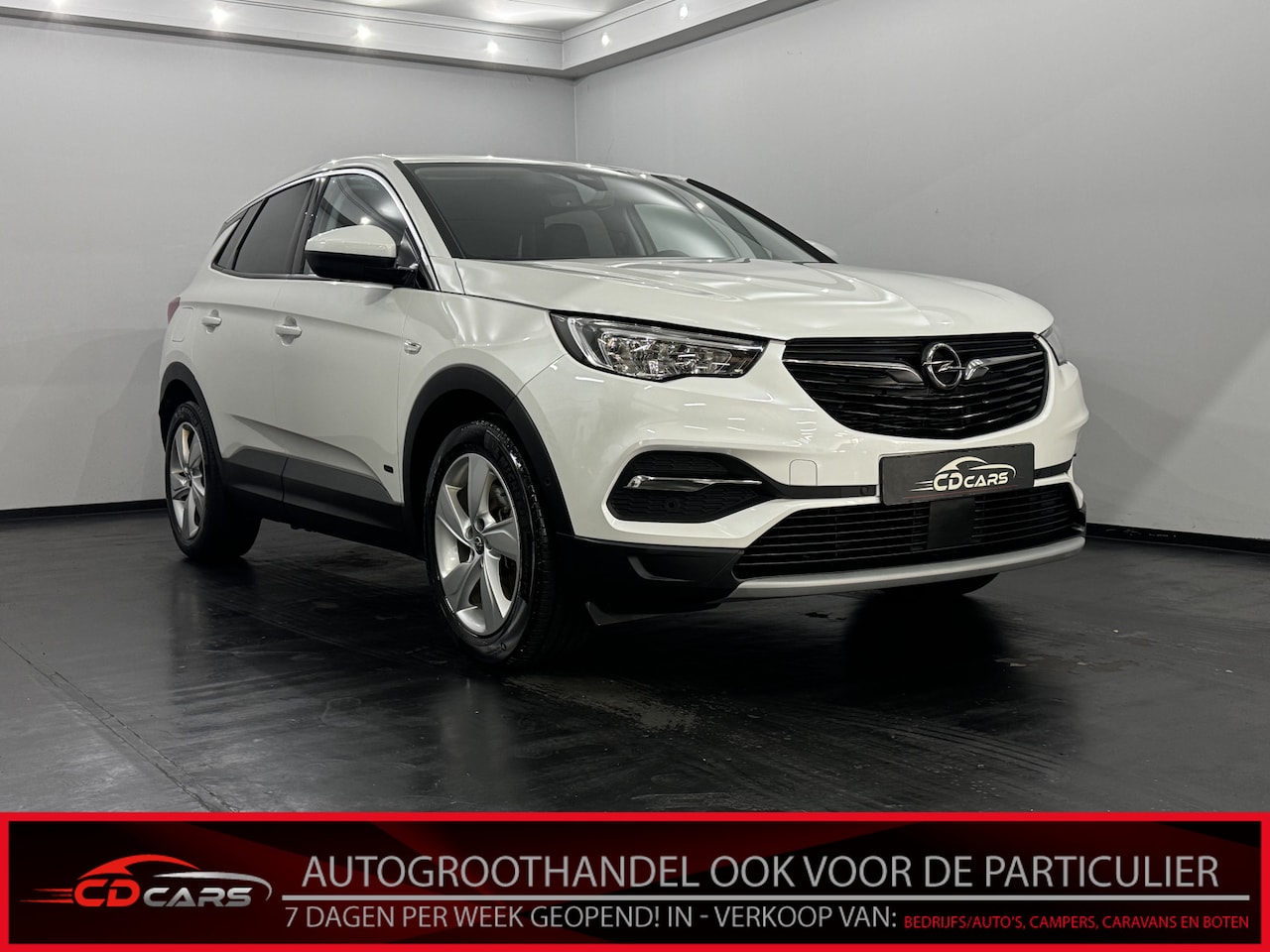 Opel Grandland X - 1.6 Turbo Hybrid Business Elegance Plug-in Half leder, Camera, Navi, Keyless start, Winter - AutoWereld.nl