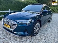 Audi e-tron - 50 quattro Business edition Plus 71 kWh leder panorama schuifdak