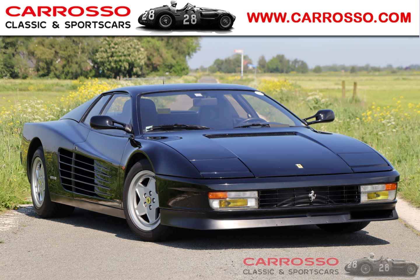 Ferrari Testarossa - Nero F110 - AutoWereld.nl