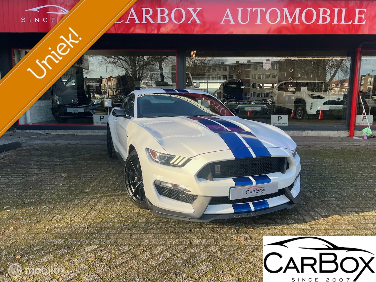 Ford Mustang - GT350 Shelby - AutoWereld.nl