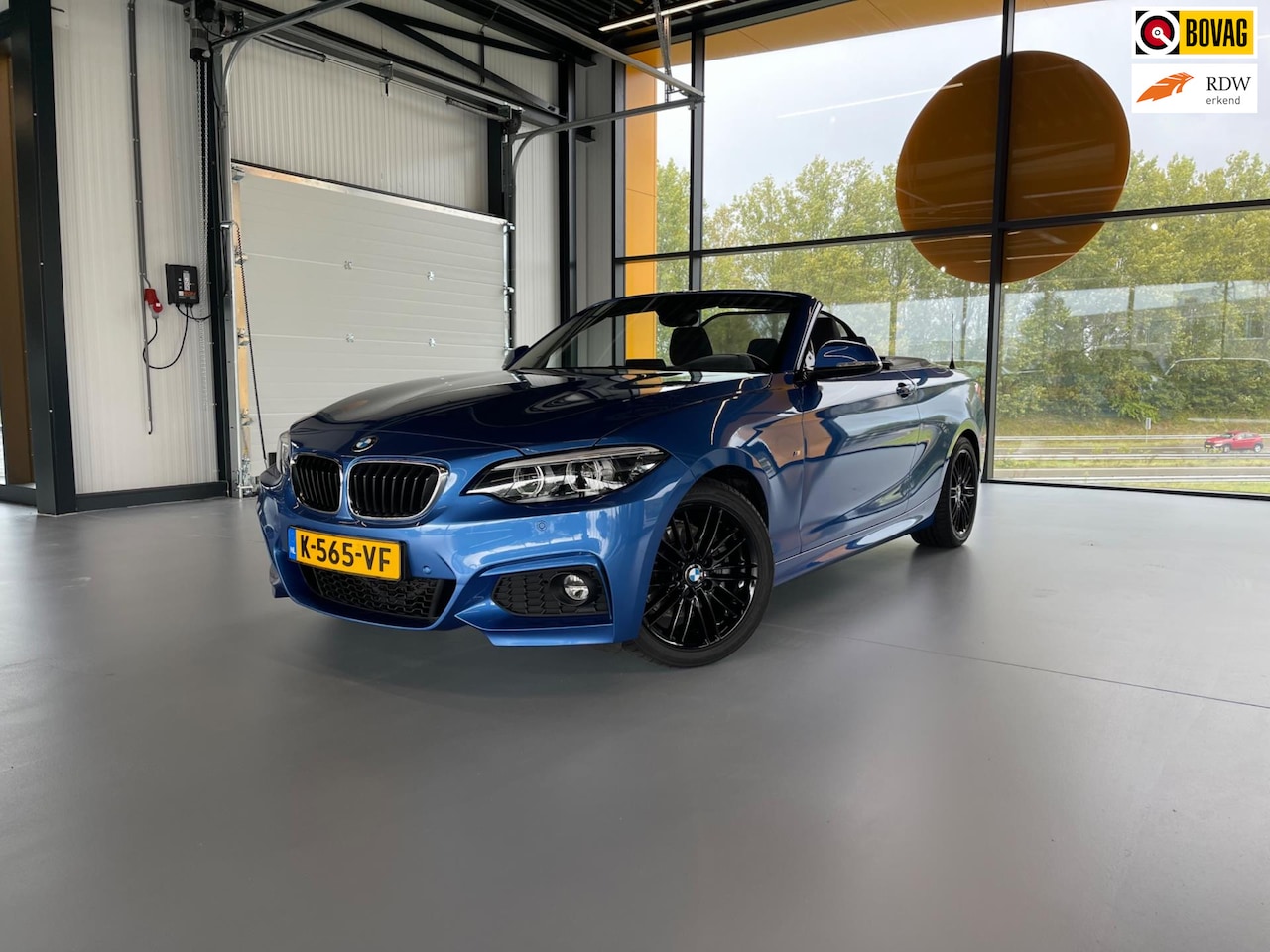 BMW 2-serie Cabrio - 220i High Executive 220i High Executive - AutoWereld.nl