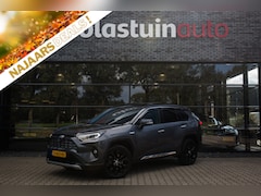 Toyota RAV4 - 2.5 Hybrid AWD Executive , Trekhaak, Pano