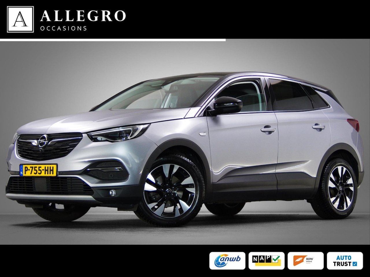 Opel Grandland X - 1.2 Turbo Business Elegance (APPLE CARPLAY / ANDROID AUTO, ACHTERUITRIJCAMERA, NAVIGATIESY - AutoWereld.nl