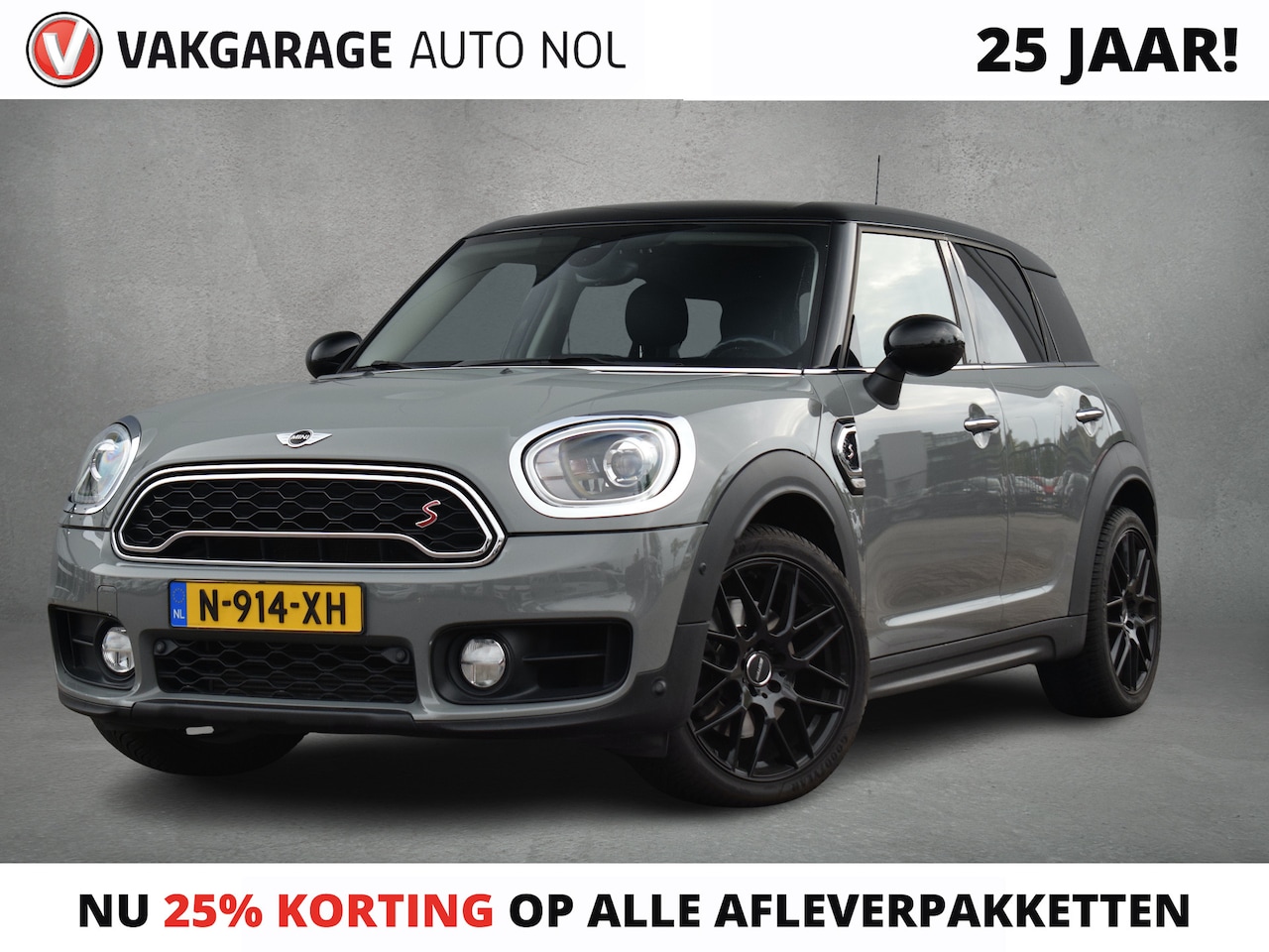 MINI Countryman - Mini 2.0 Cooper S Chili | Trekhaak | Lounge Leer | Stoelverw. | Cruise - AutoWereld.nl