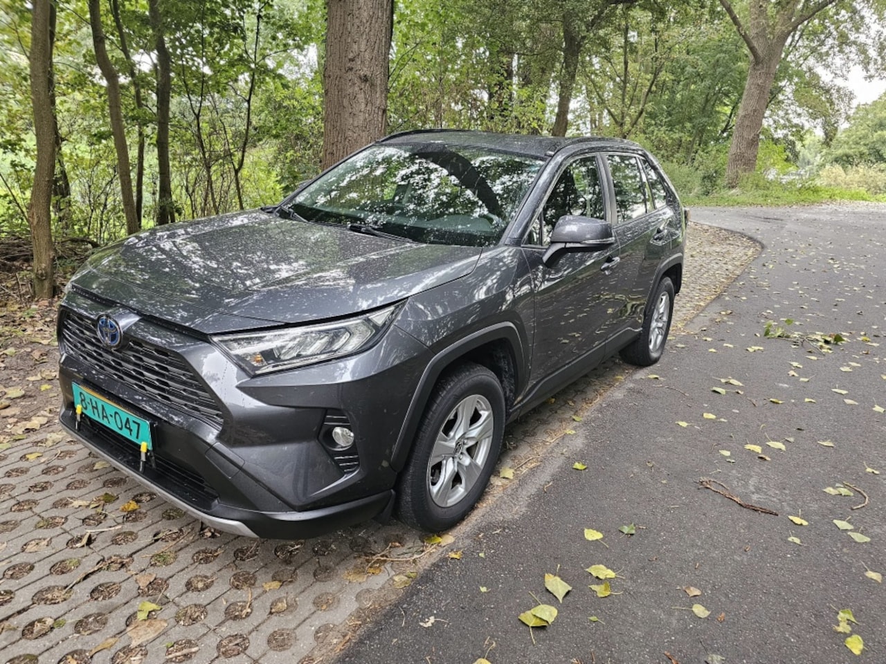 Toyota RAV4 - Toyota Rav4 2.5i Business - AWD - Hybride - Automaat - 178 hp - AutoWereld.nl