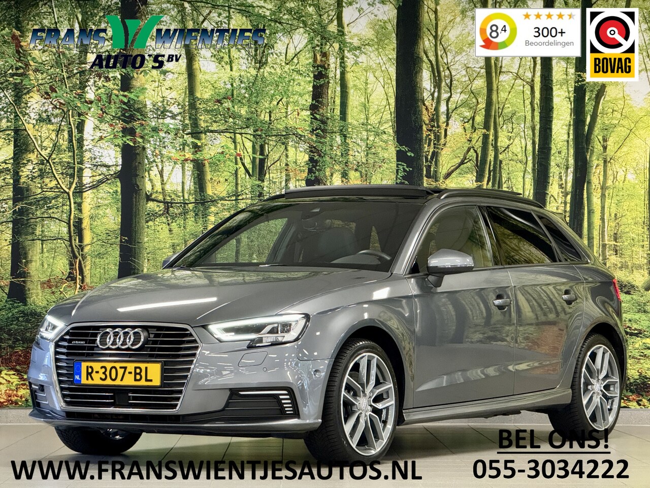 Audi A3 Sportback - 40 e-tron Advance Sport | Panoramadak | Standkachel |  Apple Carplay | Android Auto | Adap - AutoWereld.nl