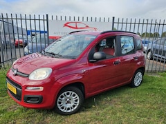 Fiat Panda - 0.9 TwinAir Easy hoogzitter