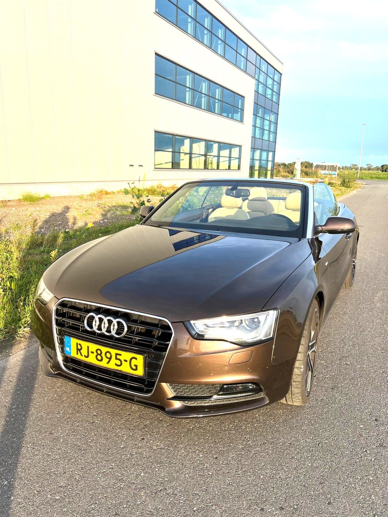 Audi A5 Cabriolet - 2.0 TFSI Pro Line S Open Days Edition - AutoWereld.nl