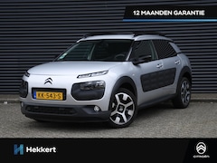 Citroën C4 Cactus - Business Plus 1.2 PureTech 110pk STOELVERWARMING | 17''LM | PANO-DAK | CRUISE | DAB | CAME