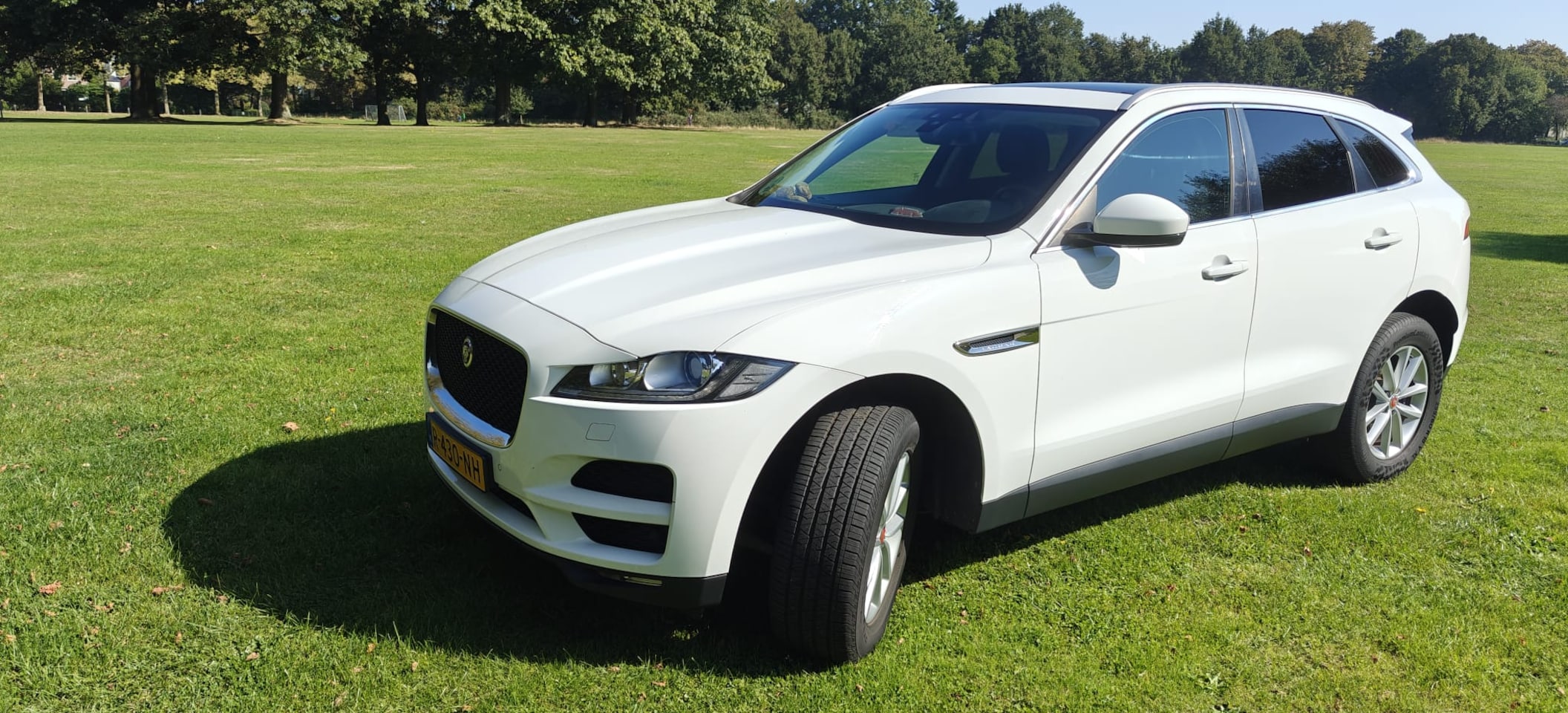 Jaguar F-Pace - 2.0d Prestige AWD - AutoWereld.nl