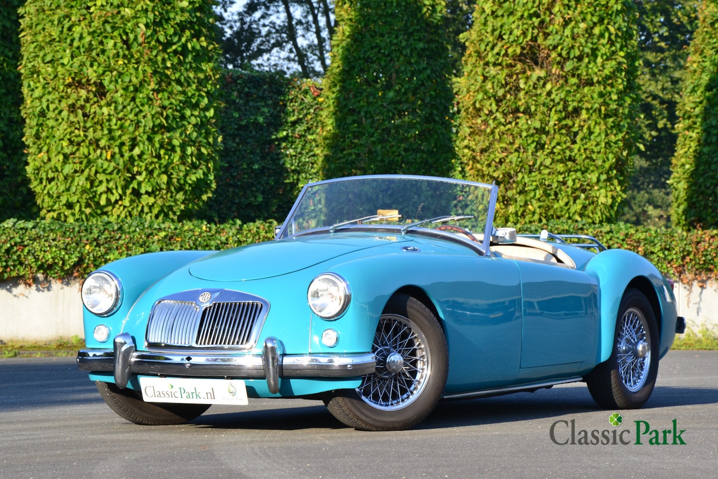 MG A 1500 - MGA Roadster - AutoWereld.nl