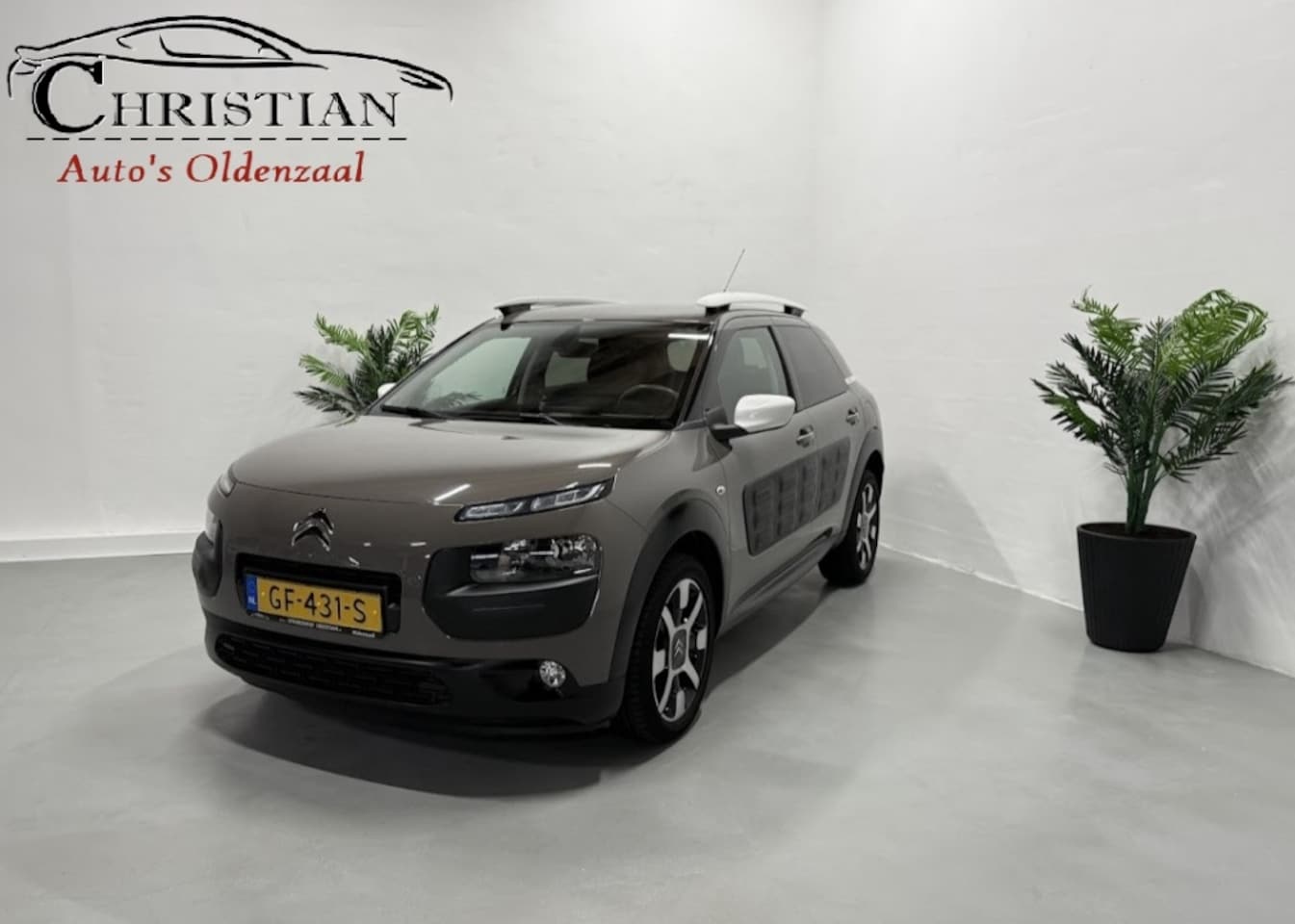 Citroën C4 Cactus - 1.2 PureTech Shine 1.2 PureTech Shine - AutoWereld.nl