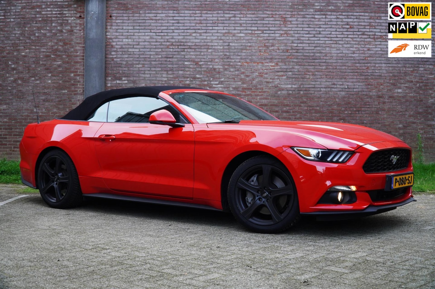 Ford Mustang Convertible - 2.3 EcoBoost 2.3 EcoBoost 317PK, Navigatie, A.rijcamera, Climat control, REMUS uitlaat. - AutoWereld.nl