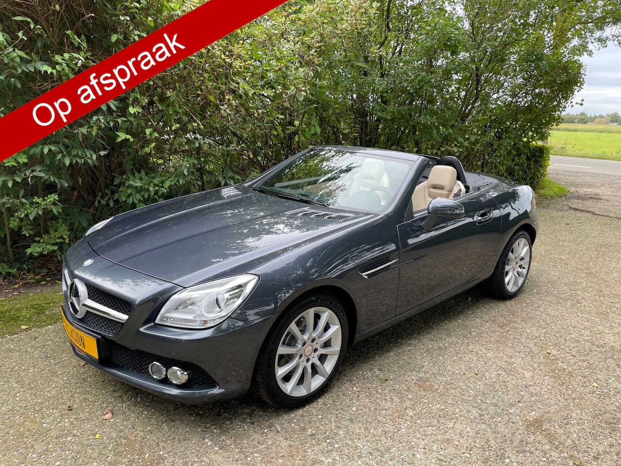 Mercedes-Benz SLK-klasse - 250 Roadster Beige leder / Panorama dak - AutoWereld.nl