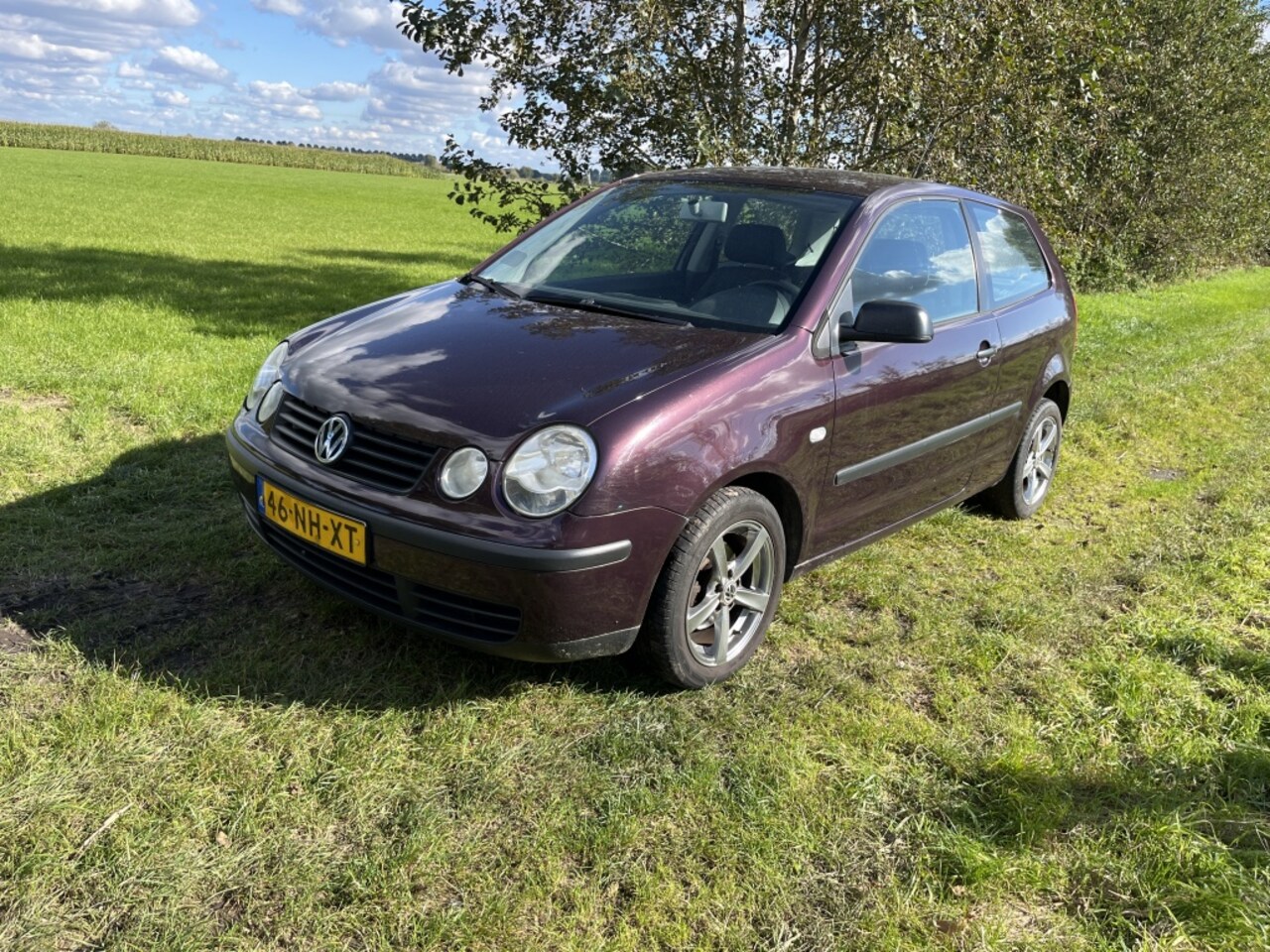 Volkswagen Polo - 1.4-16V 1.4-16V - AutoWereld.nl