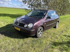 Volkswagen Polo - 1.4-16V