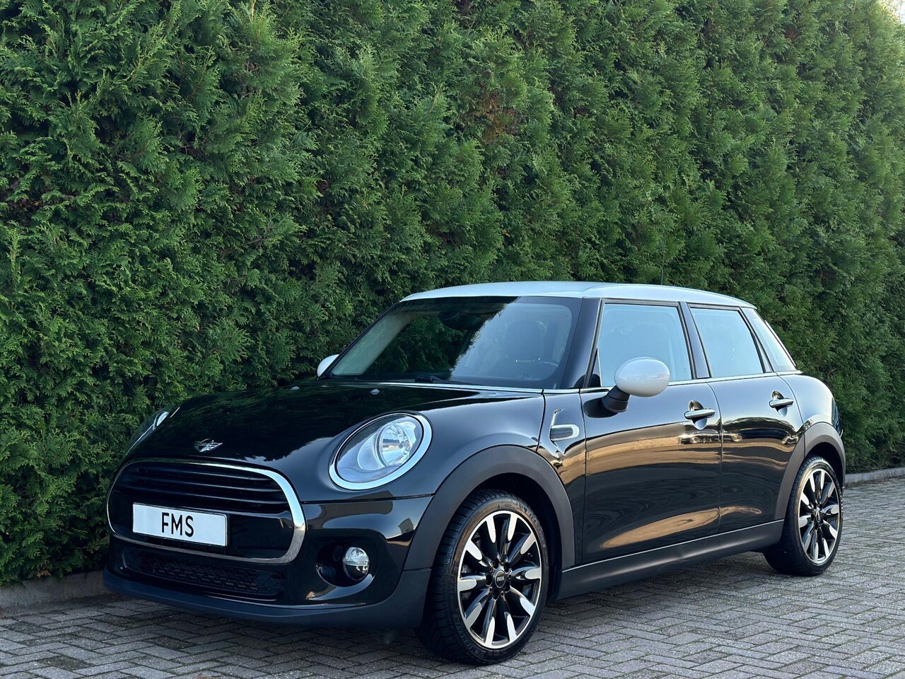 MINI Cooper - 1.5 Salt Business Automaat Bluetooth - AutoWereld.nl