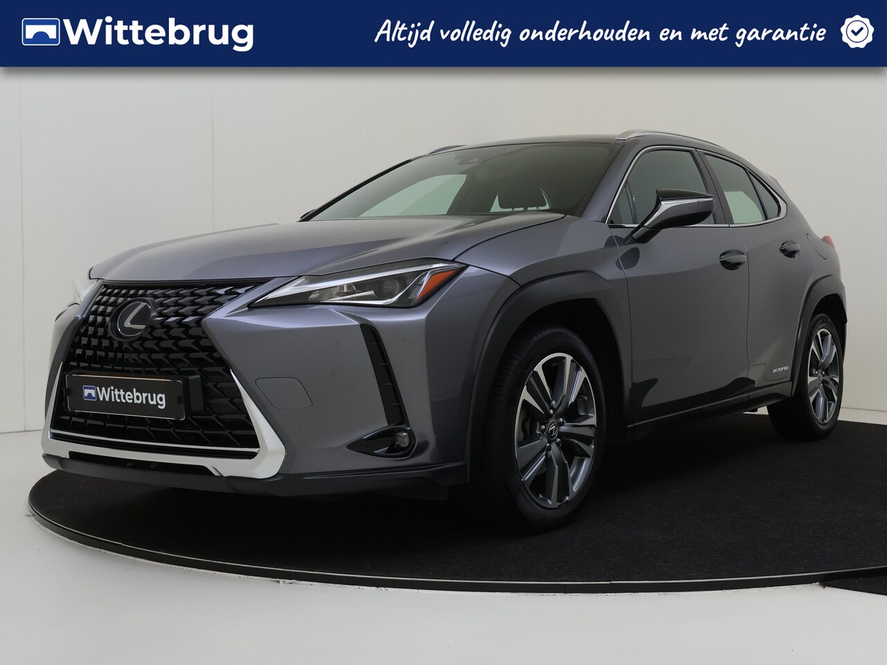 Lexus UX - 250h Business Line Automaat Hybride | Climate Control | Achteruitrijcamera | Lichtmetalen - AutoWereld.nl