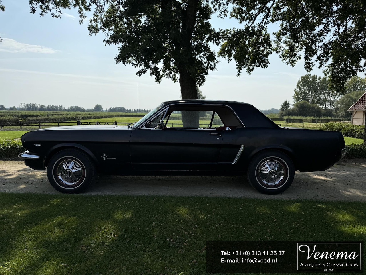 Ford Mustang - Hardtop coupe - AutoWereld.nl