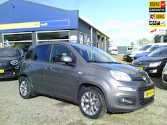 Fiat Panda - 1.2 Lounge / Airco / Rijklaarprijs