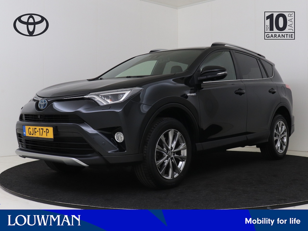 Toyota RAV4 - 2.5 Hybrid Executive I Climate Control I Cruise Control I Rondom Zicht Camera I Zwart Lede - AutoWereld.nl