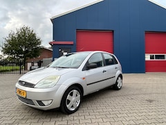 Ford Fiesta - 1.4-16V Futura Airco