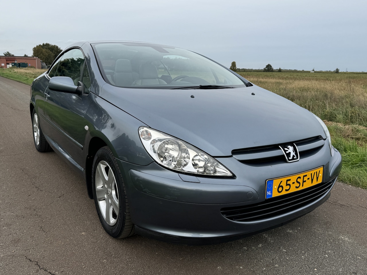 Peugeot 307 CC - 1.6-16V ECC/CRUISE/LEER/APK 05-2025! - AutoWereld.nl