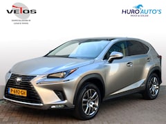 Lexus NX - 300h AWD Luxury Line | Panoramadak | Premium Navi | Trekhaak