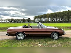 Alfa Romeo Spider - 2000 Veloce / coda tronca