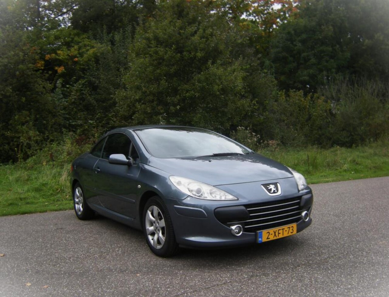 Peugeot 307 CC - 1.6-16V . Cabrio . Airco . Elec ramen en spiegels . LMV . enz - AutoWereld.nl