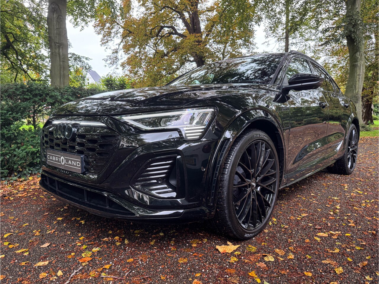 Audi Q8 e-tron - Sportback S quattro SQ8, Memory, Pano, 23' - AutoWereld.nl