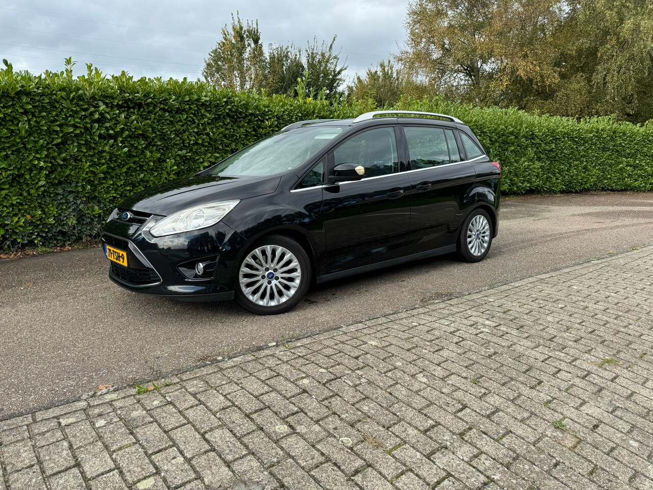 Ford Grand C-Max - 1.6 SCTi Titanium 7 Persoons - AutoWereld.nl