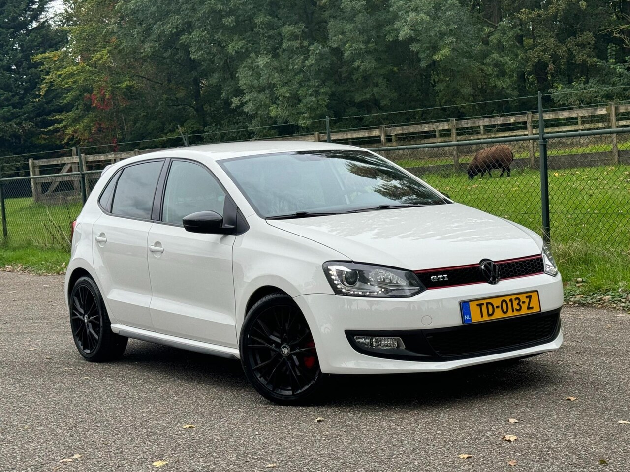 Volkswagen Polo - 1.4 TSI GTI /DSG/Xenon/ - AutoWereld.nl