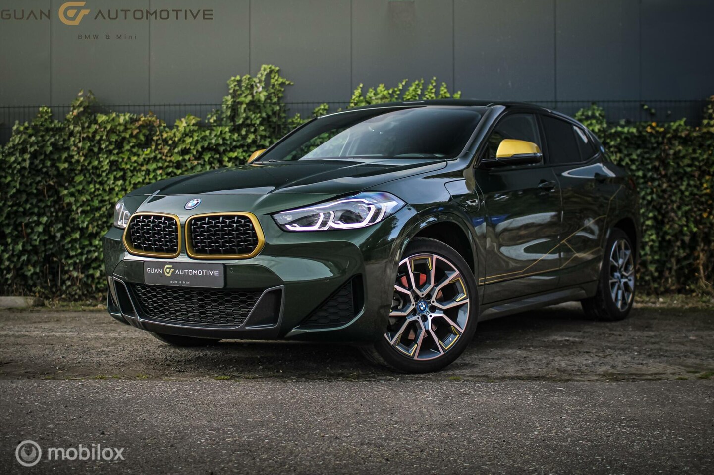 BMW X2 - xDrive25e High Executive | Goldplay Edition | - AutoWereld.nl