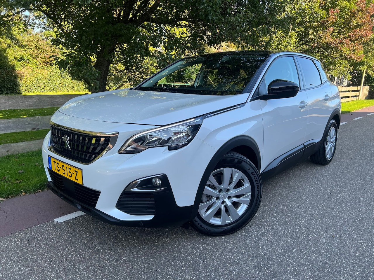 Peugeot 3008 - 1.2 PureTech Blue Lease Executive Clima trekhaak - AutoWereld.nl