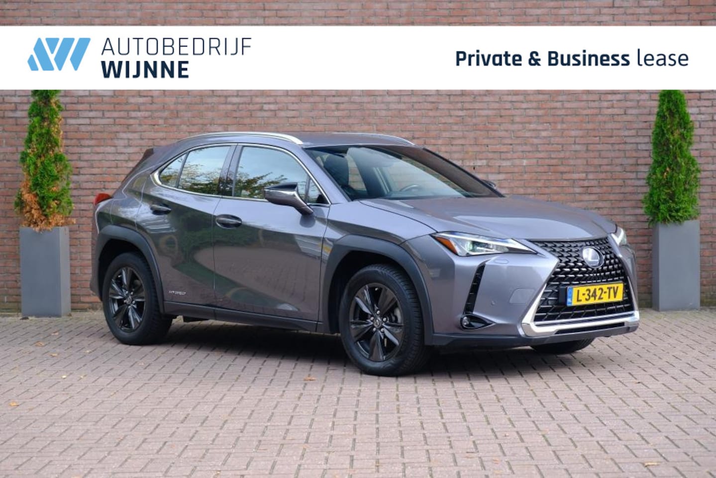 Lexus UX - 250h Hybrid 184pk CVT Business Line | App Connect | Climate  | Full LED | Adaptive Cruise - AutoWereld.nl