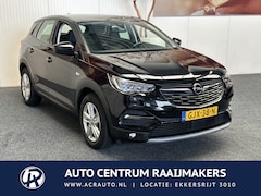 Opel Grandland X - 1.2 Turbo Business Edition 10 op Voorraad NAVIGATIE CRUISE CONTROL APPLE CARPLAY/ANDROID R