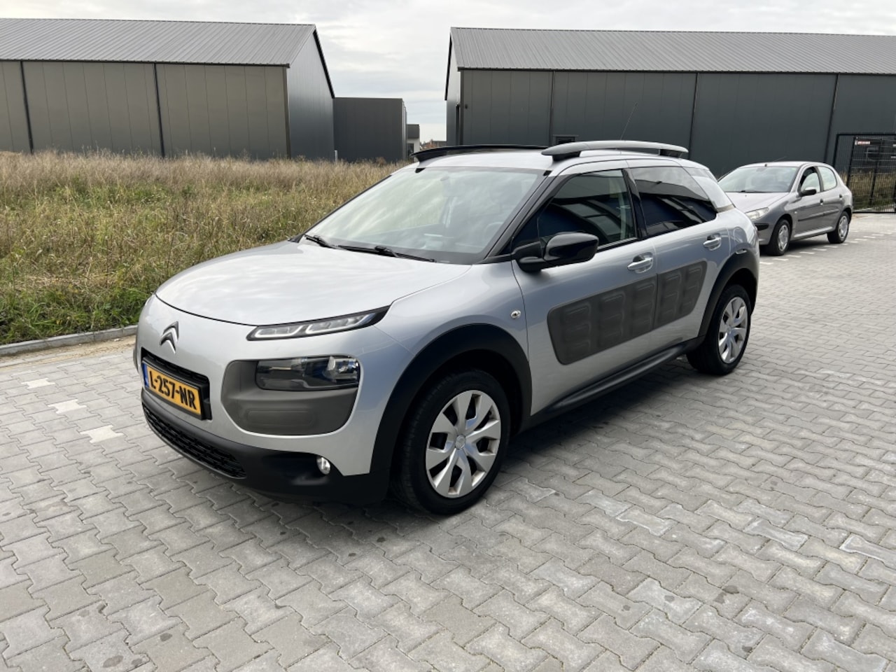 Citroën C4 Cactus - 1.2 VTi Business 1.2 VTi Business - AutoWereld.nl